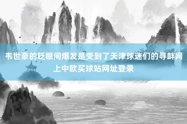 韦世豪的眨眼间爆发是受到了天津球迷们的寻衅网上中欧买球站网址登录