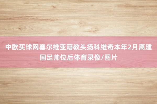 中欧买球网塞尔维亚籍教头扬科维奇本年2月离建国足帅位后体育录像/图片