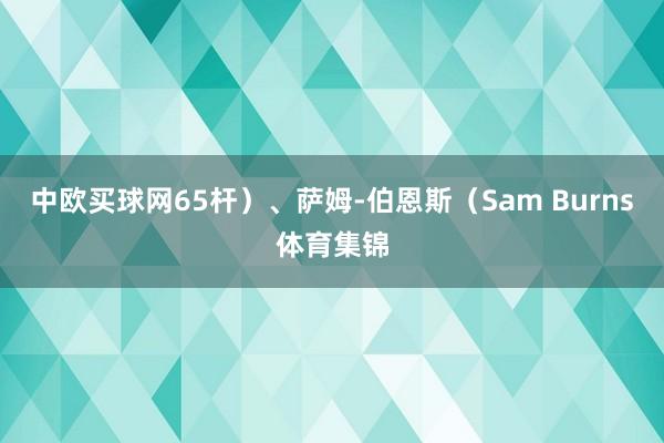 中欧买球网65杆）、萨姆-伯恩斯（Sam Burns体育集锦