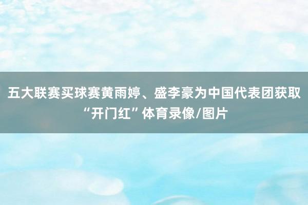 五大联赛买球赛黄雨婷、盛李豪为中国代表团获取“开门红”体育录像/图片