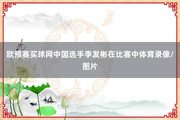 欧预赛买球网中国选手李发彬在比赛中体育录像/图片