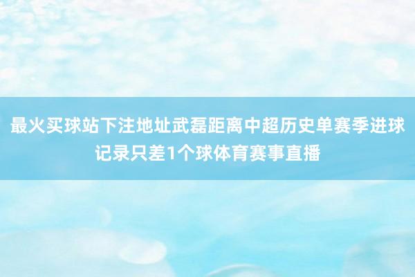 最火买球站下注地址武磊距离中超历史单赛季进球记录只差1个球体育赛事直播