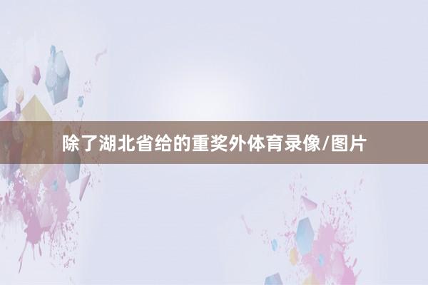 除了湖北省给的重奖外体育录像/图片